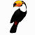 Toucan Logo Download bei adshop.top