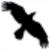 Data Crow Logo Download bei adshop.top