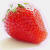 Strawberry Perl für Windows Logo Download bei adshop.top