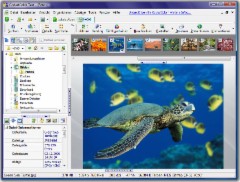 CodedColor Fotostudio Pro 6.2.3